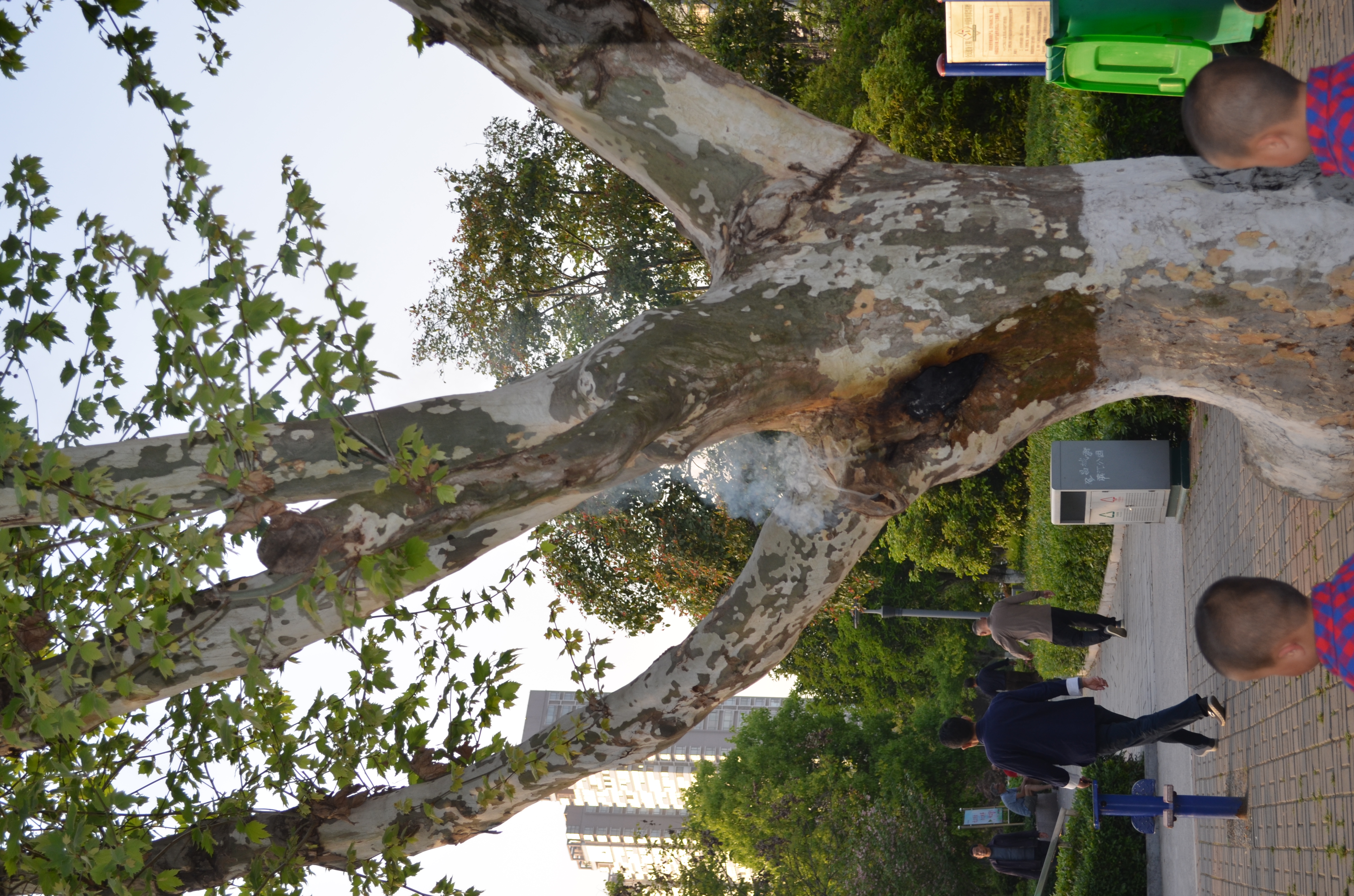 ./2018/03 - Viking China/18 - YiChang/DSC_0987.JPG